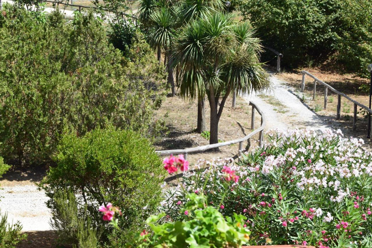Apartamento Fondo Santa Lucia SantʼAgata sui Due Golfi Exterior foto
